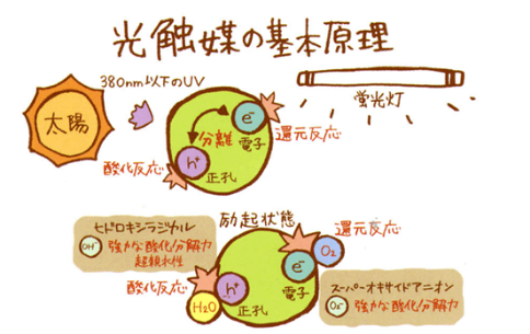 上海保潔公司